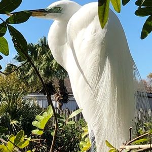 Meet your Posher, Becky